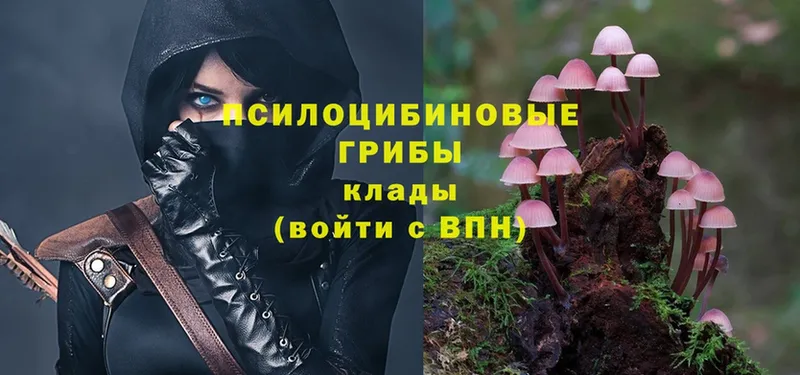 Псилоцибиновые грибы Psilocybe  где можно купить наркотик  Каменск-Шахтинский 